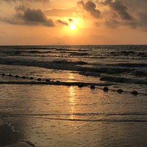 美女裸露小米su7视频
